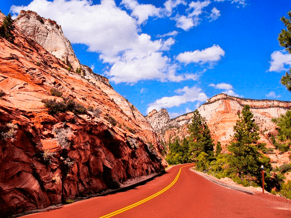 Scenic road through Zion National Park, USA