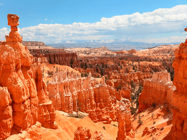 Bryce Canyon National Park landscape, Utah, USA