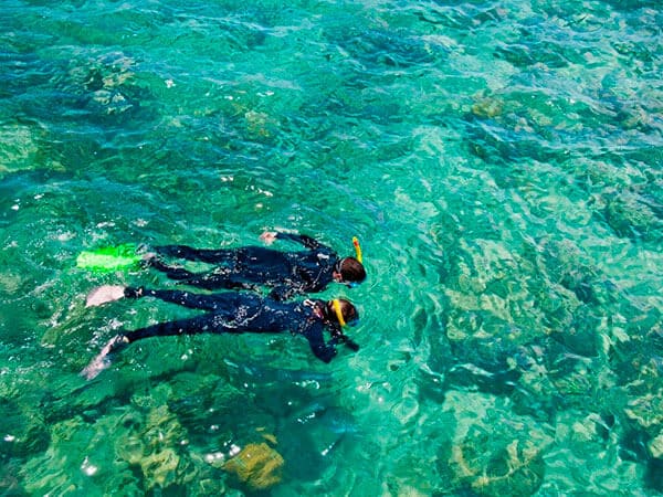 Snorkelers, Great Barrier Reef, Australia