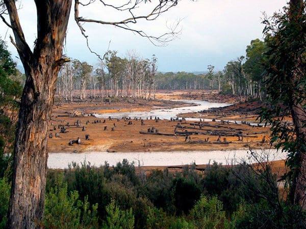 Tropical River, Tasmania