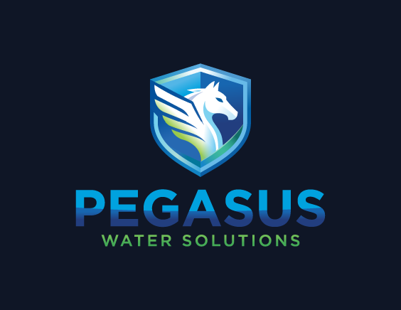 Custom logo design for Pegasus Water Solutions plumbing company gallery sample, featuring blue-toned pegasus icon combined with water drop elements and professional plumbing typography.